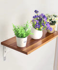 Heavy Duty Shelf Brackets Built Tough For Wall Mounted Floating Shelves Stainless Steel L Bracket supporting a wooden shelf with plants.