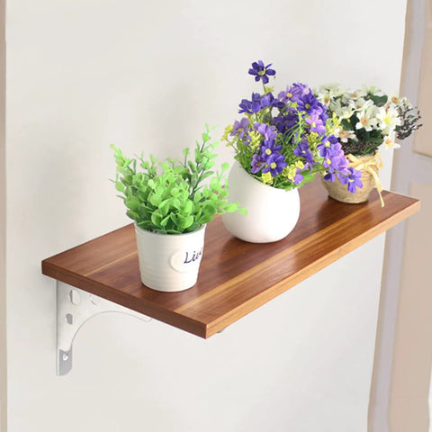 Heavy Duty Shelf Brackets Built Tough For Wall Mounted Floating Shelves Stainless Steel L Bracket supporting a wooden shelf with plants.