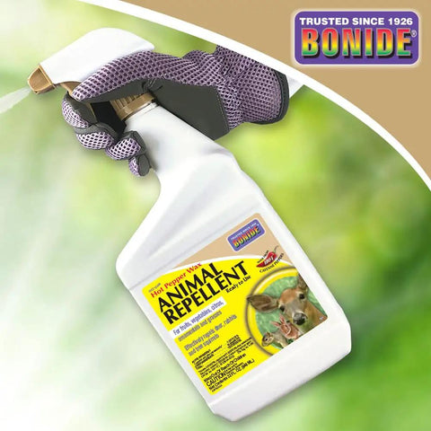 Hand holding Hot Pepper Wax Animal Repellent Spray 32 Oz Ready To Use Keeps Deer Rabbits And Squirrels From Nibbling Your Lawn And Garden Plants With Cayenne Pepper And Capsaicin For Easy Pest Control.