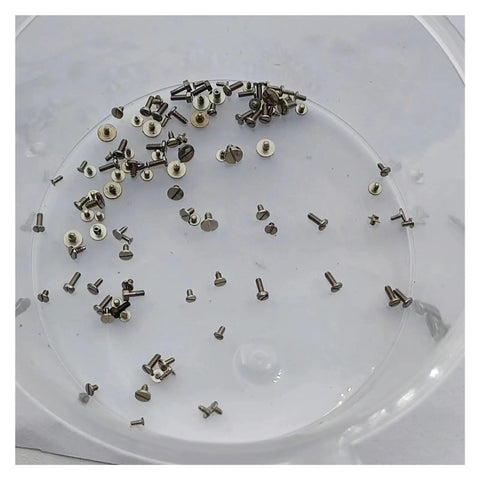 100 Piece Watch Movement Screw Set With Assorted Original Size Screws For Repairs And DIY on a clear plastic tray
