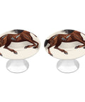 Two Pack Brown Horse Round Stainless Steel Cabinet Knobs With Screws For Kitchen Cabinets Drawers Closets Dressers Cupboards