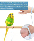 Parrot Flying Training Rope Kit With Five Size Bird Foot Rings For Cockatiels Parakeets Pigeons, showing parakeet on perch with spring bracelet.