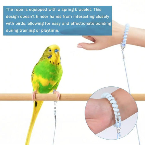 Parrot Flying Training Rope Kit With Five Size Bird Foot Rings For Cockatiels Parakeets Pigeons, showing parakeet on perch with spring bracelet.
