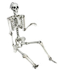 Life Size Halloween Skeleton With Seven Joints 5.4 Ft Realistic Human Bones Made From PP Ceiling Hanger Prank Decor For Porch Or Party