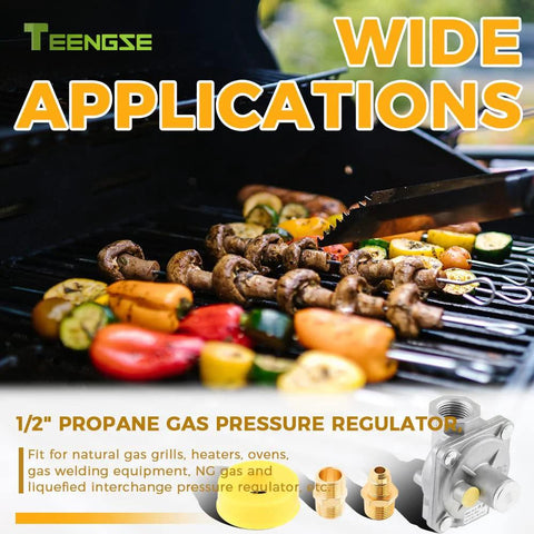 TEENGSE 1/2-in gas pressure regulator with brass adapters (NG/LPG) on grill packaging with skewers and vegetables