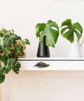 Antique Zinc Alloy Leaf Cabinet Handle Set on drawer with plants, Vintage Style Leaf Drawer Pulls, Retro Home Furniture Hardware