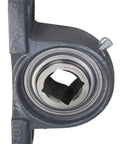 Drivetrain Disc Harrow Pillow Block Bearing With Triple Lip Seals Replaces TPBT60 Bore 1-1/8 Inch Square Shaft front view