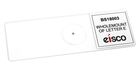 Letter E Wholemount Microscope Slides Class Pack Ten 75 By 25mm Size With Storage Case For Introductory Microscopy Image Inversion Practice Perfect Classroom Lab Gear, clear slide in polystyrene case