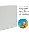 Air Purifier Replacement Filters For Revive 1 Year Standard Pack with focus on true HEPA filter trapping allergens