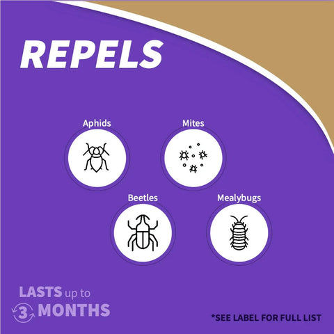 Graphic showing pests repelled by Fruit Tree Spray Concentrate For Organic Gardening Insect And Disease Control, 16 oz Concentrate.