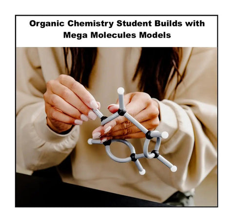 Hands assembling Organic Chemistry Model Set With 175 Color Coded Parts For Students And Teachers Hands On Visualize Structures Bonds And Reactions Perfect For STEM Learning And Classroom Lab