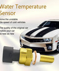 Water Temperature Sensor, brass body with grey plastic connector; automotive coolant sensor against car backdrop
