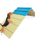 Beagle on Backyard Dog Agility Course For Small To Medium Dogs, Foldable A-Frame Jump Ramp Kit, Paw-Approved Training Gear For Puppies