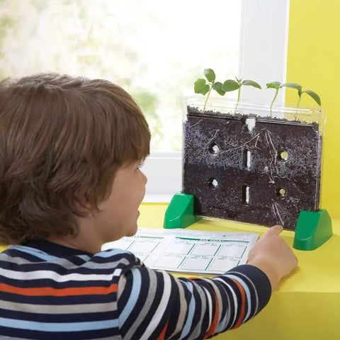 Sprout And Grow Window See Through Sprouts Kit For Kids Gardening Root Viewer And Classroom Science Set For Home Or School Hands On Seed To Sprout Project Ages 5 Plus