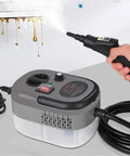 Powerful 2500W Steam Cleaner For High Temperature Disinfection In Kitchen Bathroom And HVAC Hoods 110V 220V Gray with Hose