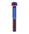 Burnt-blue titanium flange bolt with 12-point head, M10, partially threaded shaft (front view)