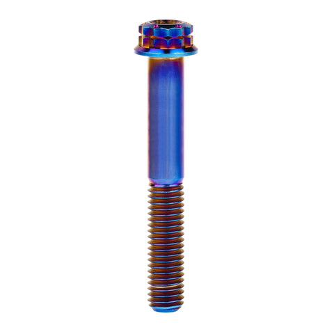 Burnt-blue titanium flange bolt with 12-point head, M10, partially threaded shaft (front view)