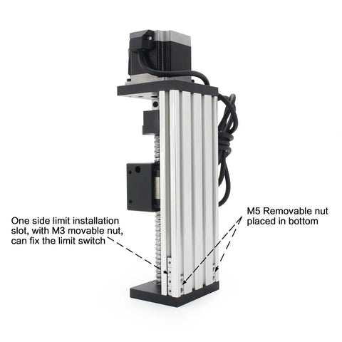 Side view of HBX1605 300mm Linear Motion Guide Actuator With Double Linear Rail Slide 1605 Ballscrew And Nema23 Stepper Motor.