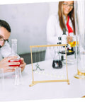 Snake Shape Pendulum Energy Conservation Model Kit For DIY Science Projects in a classroom with scientists experimenting
