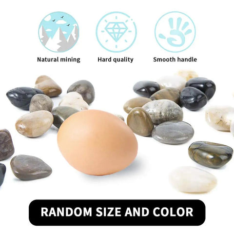 Polished River Rock Gravel Set 0.5-1.2 Inch Natural Mixed Color Pebbles For Decor Yard Vibe Path Garden Aquarium Or Terrarium Durable Decorative Stones In 2 Lb Bundle with egg for size reference