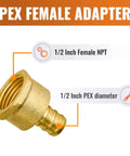 12 Pack One Half Inch PEX To One Half Inch Female NPT Brass Fittings For Drinking Water Lead Free Corrosion Resistant Adapters NSF ANSI 61 Certified Built Tough Crimp PEX Fittings Set, showing close-up of brass fitting with labels