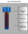 Straight Up Heavy Duty M6x20 Titanium Bolts Sick Burnt Blue Finish solid six pack showing M6 titanium bolt with hex head and colorful finish.