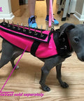 Dog wearing a pink CoyoteVest with attached Protective Pup Pad For CoyoteVest Or SpikeVest Harness Add On Stab Resistant Shield.