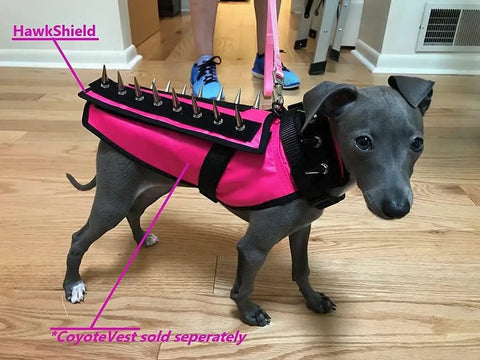 Dog wearing a pink CoyoteVest with attached Protective Pup Pad For CoyoteVest Or SpikeVest Harness Add On Stab Resistant Shield.