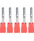 Five 3/16-inch, 4-flute carbide end mills with straight shanks; 2-inch overall length.