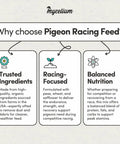 Infographic highlighting benefits of Organic Racing Pigeon Food Race Ready High Protein Bird Seed With Vitamin Premix