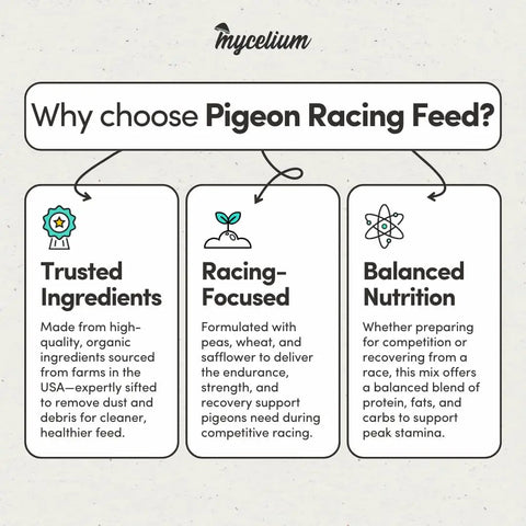 Infographic highlighting benefits of Organic Racing Pigeon Food Race Ready High Protein Bird Seed With Vitamin Premix