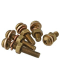 Premium Brass Screw Nut Kit Featuring Pan Head Phillips Fasteners With Washers For Metalworking Projects In M3 To M6 Sizes showing brass fasteners.