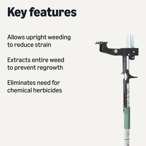 Stand Up Weed Puller With Four Claw Design For Easy Root Extraction In Garden And Backyard Lightweight Aluminum Handle Key Features