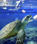 Sea turtle swimming near plastic waste in ocean highlighting pollution issue.