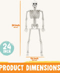 Two Pack 24 Inch Full Body Poseable Skeletons With Locking Joints For Halloween Indoor Outdoor Decor White Plastic Skeleton Props