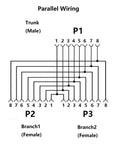M12 8-Pin A-Code 1-To-2 Y-Splitter Cable parallel wiring diagram for sensors and actuators in industrial automation
