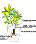 4 In 1 Soil Moisture Meter Plant Water Monitor With Bluetooth For Indoor Plants, Tracks moisture, light, fertility, and temperature in pot
