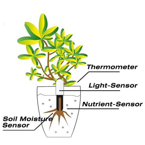 4 In 1 Soil Moisture Meter Plant Water Monitor With Bluetooth For Indoor Plants, Tracks moisture, light, fertility, and temperature in pot