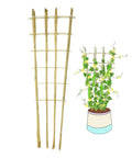 3 Pack 4 Foot Bamboo Trellis Fan Shaped Plant Support For Outdoor And Indoor Potted Climbing Plants Vegetables Tomatoes Cucumbers Vines Flowers And More Sturdy Handmade Natural Bamboo Stakes Perfect For Hoya Jasmine Grapes shown next to potted plant with vines