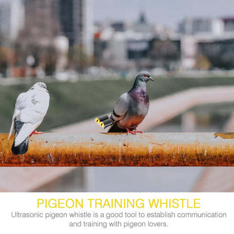 Two Pack Pigeon Training Whistles for Birds, Adjustable Frequency, Lightweight Pro Bird Training Tools on Rusted Pipe