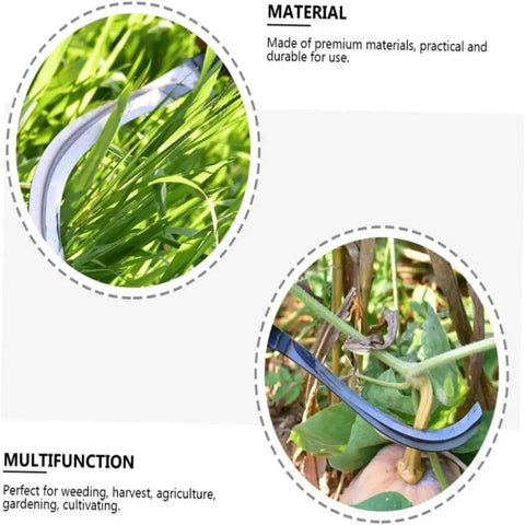 Close-up of Two Pack Steel Willow Leaf Sickles Heavy Duty Garden And Farm Tools For Harvesting And Weeding Arc Blade cutting plants