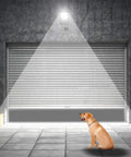 Ultra Bright Outdoor LED Motion Sensor Flood Light 12-24V AC/DC Waterproof Security Lamp illuminating a garage door