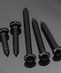 Trusted Shop Gear 100 Pack 10 X 1 Inch Black 304 Stainless Steel Security Torx Pan Head Sheet Metal Screws showing various sizes.
