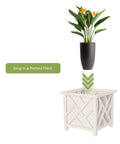 Lattice Design Outdoor Planter Box 14.75 Inch Square 13 Inch Tall White Plant Pot For Front Porch Decor Durable Weather Resistant Planter Cover Ideal For Garden Patio Or Porch Flower Pots with potted plant above
