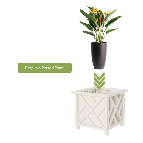 Lattice Design Outdoor Planter Box 14.75 Inch Square 13 Inch Tall White Plant Pot For Front Porch Decor Durable Weather Resistant Planter Cover Ideal For Garden Patio Or Porch Flower Pots with potted plant above