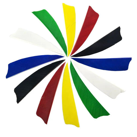 50 Pcs Turkey Feather Arrow Fletching Vanes, colorful 3 inch right wing real feathers for stable flight, multicolor display