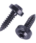 Badass Titanium Self Tapping Screws M5 X 18Mm Torx Head Design for rock solid fastening, two black screws showcasing their sharp tips.