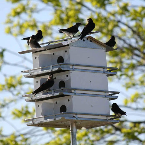 Purple Martin Bird House With Coates Original Design, Three Floors And Twelve Rooms, Medium Size In White And Grey with birds