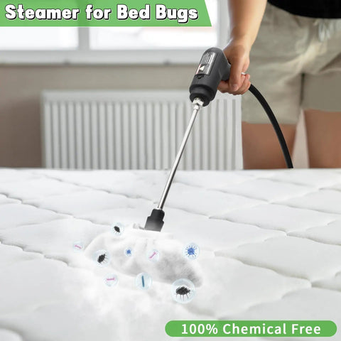 Beast Mode Handheld Steam Cleaner For Home And Cars 2500W High Temp Pressurized Machine sanitizing mattress with steam.