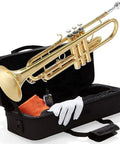 Bb Standard Trumpet Starter Kit In Gold For Beginners With Smooth Valves, Durable Lacquer Finish, Easy To Play Design, And Eye Catching Shine For Practice, School Band Or Band Camp. Gold Bb trumpet starter kit in open case with mouthpiece and gloves